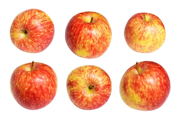 Červená Galavečer Jablko Izolované Výstřižkem Stezka Žádný Stín Bílém Pozadí — Stock fotografie