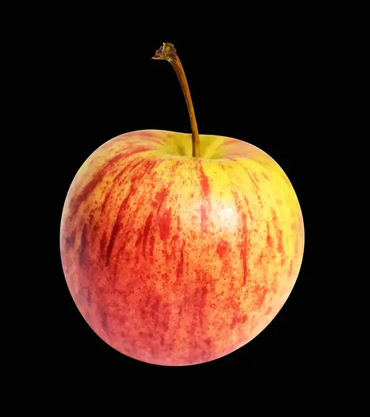 Roter Gala Apfel Isoliert Mit Schnittpfad Kein Schatten Auf Schwarzem — Stockfoto