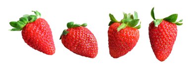 Kesme yolu olan çilek. Beyaz arka planda gölge yok. Sağlıklı taze meyve, çiğ kırmızı çilek.