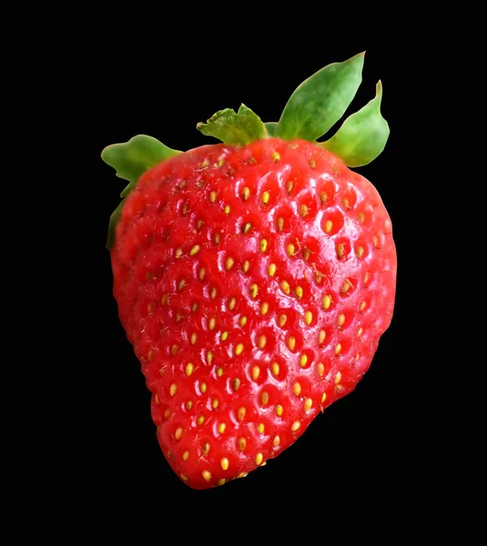 건강한 신선한 익지않는 딸기에 그림자 고립시키는 — 스톡 사진