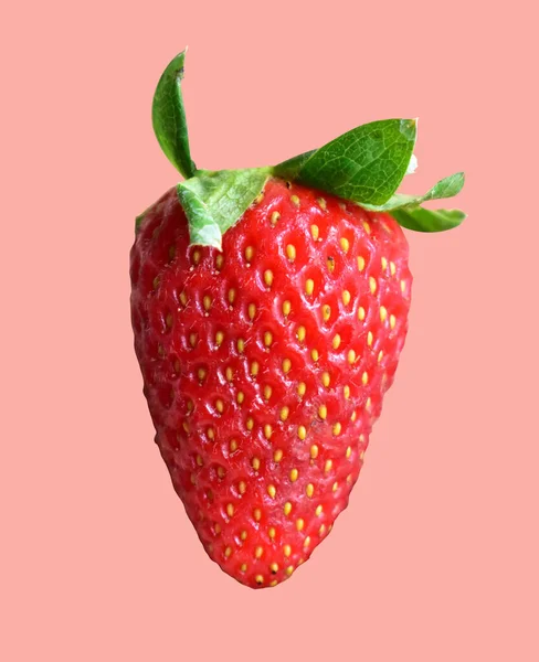 草莓与修剪路径分离 无粉红色背景阴影 健康新鲜水果 生红草莓 — 图库照片