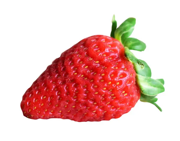 신선한 익지않는 딸기에 그림자 — 스톡 사진