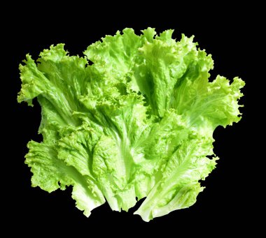 Yeşil marul salatası kırpma yolu ile izole edilmiş siyah arka planda gölge yok, taze sebzeler