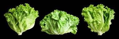 Yeşil marul salatası kırpma yolu ile izole edilmiş siyah arka planda gölge yok, taze sebzeler