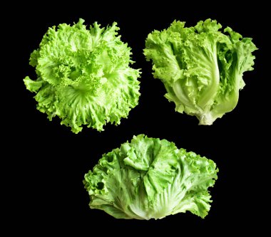 Yeşil marul salatası kırpma yolu ile izole edilmiş siyah arka planda gölge yok, taze sebzeler