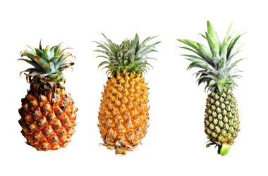 Beyaz arka planda izole edilmiş ananas, kırpma yolu olan gölge yok, sağlıklı meyve, yiyecek ve içecek.
