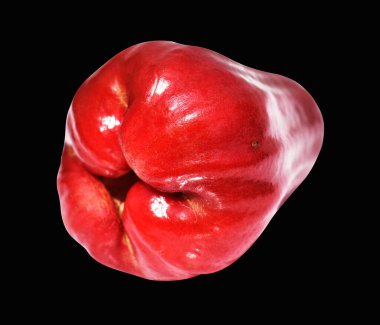 Kırpma yolu ile izole edilmiş kırmızı su elma meyvesi siyah arka planda gölge yok, sağlıklı tropikal meyve