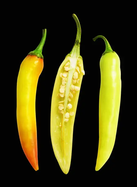 Yellow hot chili pepper isolated in black background, no shadow with clipping path, natural seasoning, cooking ingredient