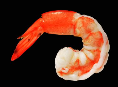 Kırmızılı karides ya da kaplan karidesi kırpma yolu ile izole edilmiş, siyah arka planda gölge yok, kabuklu deniz ürünleri.