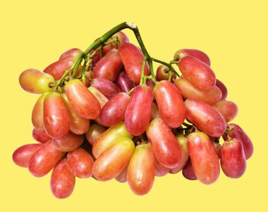 Kırmızı üzüm izole edilmiş, sarı arka planda kırpma yolu olmayan, sağlıklı taze meyve.