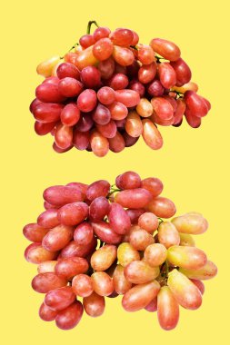 Kırmızı üzüm izole edilmiş, sarı arka planda kırpma yolu olmayan, sağlıklı taze meyve.