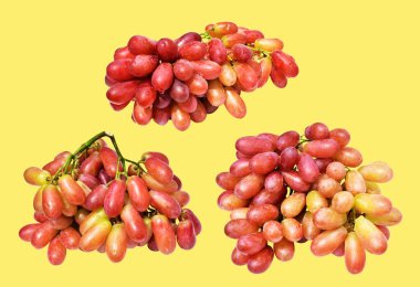 Kırmızı üzüm izole edilmiş, sarı arka planda kırpma yolu olmayan, sağlıklı taze meyve.