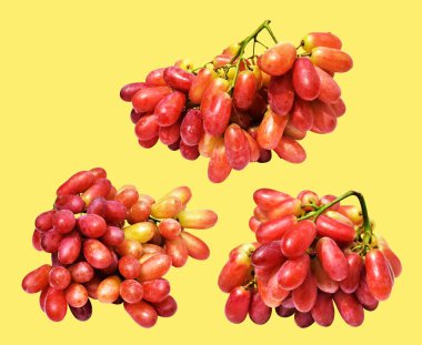 Kırmızı üzüm izole edilmiş, sarı arka planda kırpma yolu olmayan, sağlıklı taze meyve.