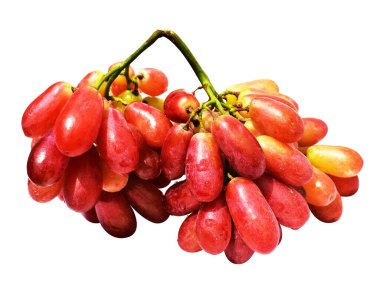 Olgun kırmızı üzüm, izole, beyaz arka planda kırpma yolu olmayan, sağlıklı taze meyve