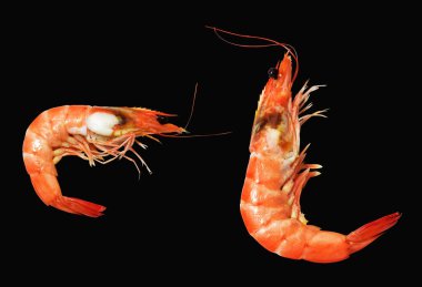 Kırmızı haşlanmış karides ya da kaplan karides kırpma yolu ile izole edilmiş, siyah arka planda gölge yok, pişmiş deniz ürünleri, pişirme malzemeleri