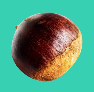 Kestane, kırpma yolu ile izole edilmiş, yeşil arka planda gölge yok, taze ve sağlıklı yiyecek.