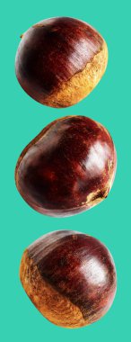 Kestane, kırpma yolu ile izole edilmiş, yeşil arka planda gölge yok, taze ve sağlıklı yiyecek.