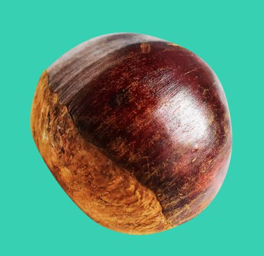 Kestane, kırpma yolu ile izole edilmiş, yeşil arka planda gölge yok, taze ve sağlıklı yiyecek.