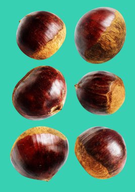 Kestane, kırpma yolu ile izole edilmiş, yeşil arka planda gölge yok, taze ve sağlıklı yiyecek.
