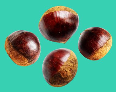 Kestane, kırpma yolu ile izole edilmiş, yeşil arka planda gölge yok, taze ve sağlıklı yiyecek.