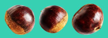 Kestane, kırpma yolu ile izole edilmiş, yeşil arka planda gölge yok, taze ve sağlıklı yiyecek.