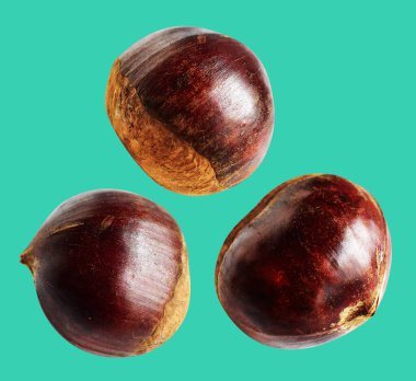 Kestane, kırpma yolu ile izole edilmiş, yeşil arka planda gölge yok, taze ve sağlıklı yiyecek.
