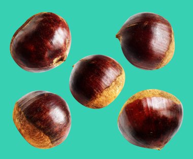 Kestane, kırpma yolu ile izole edilmiş, yeşil arka planda gölge yok, taze ve sağlıklı yiyecek.