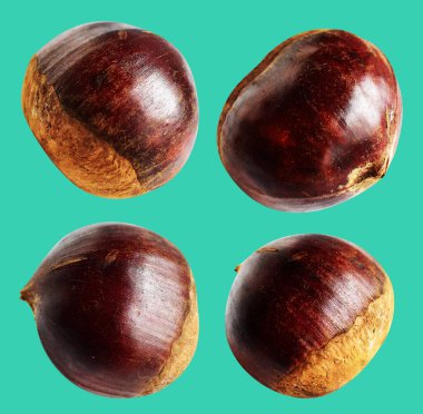 Kestane, kırpma yolu ile izole edilmiş, yeşil arka planda gölge yok, taze ve sağlıklı yiyecek.