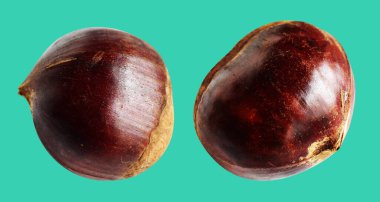 Kestane, kırpma yolu ile izole edilmiş, yeşil arka planda gölge yok, taze ve sağlıklı yiyecek.