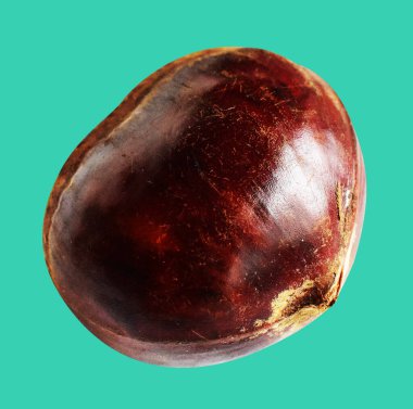 Kestane, kırpma yolu ile izole edilmiş, yeşil arka planda gölge yok, taze ve sağlıklı yiyecek.