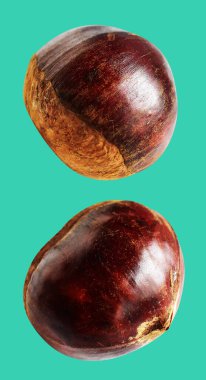 Kestane, kırpma yolu ile izole edilmiş, yeşil arka planda gölge yok, taze ve sağlıklı yiyecek.