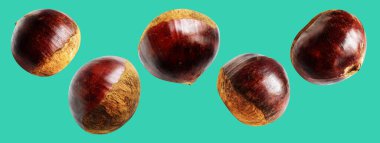 Kestane, kırpma yolu ile izole edilmiş, yeşil arka planda gölge yok, taze ve sağlıklı yiyecek.