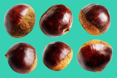 Kestane, kırpma yolu ile izole edilmiş, yeşil arka planda gölge yok, taze ve sağlıklı yiyecek.
