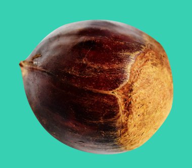 Kestane, kırpma yolu ile izole edilmiş, yeşil arka planda gölge yok, taze ve sağlıklı yiyecek.