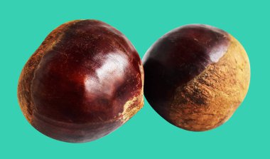 Kestane, kırpma yolu ile izole edilmiş, yeşil arka planda gölge yok, taze ve sağlıklı yiyecek.