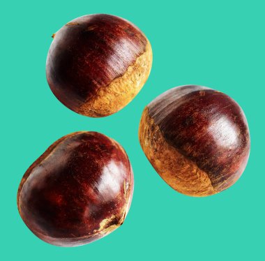 Kestane, kırpma yolu ile izole edilmiş, yeşil arka planda gölge yok, taze ve sağlıklı yiyecek.