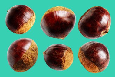 Kestane, kırpma yolu ile izole edilmiş, yeşil arka planda gölge yok, taze ve sağlıklı yiyecek.