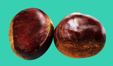 Kestane, kırpma yolu ile izole edilmiş, yeşil arka planda gölge yok, taze ve sağlıklı yiyecek.