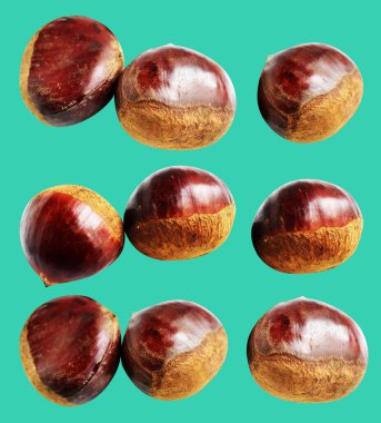 Kestane, kırpma yolu ile izole edilmiş, yeşil arka planda gölge yok, taze ve sağlıklı yiyecek.