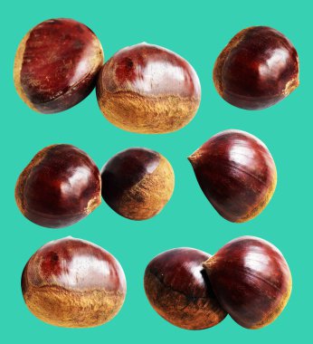 Kestane, kırpma yolu ile izole edilmiş, yeşil arka planda gölge yok, taze ve sağlıklı yiyecek.