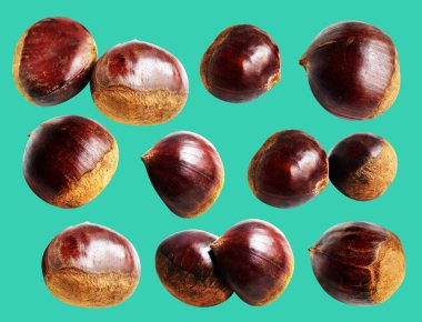 Kestane, kırpma yolu ile izole edilmiş, yeşil arka planda gölge yok, taze ve sağlıklı yiyecek.