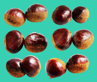 Kestane, kırpma yolu ile izole edilmiş, yeşil arka planda gölge yok, taze ve sağlıklı yiyecek.