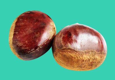 Kestane, kırpma yolu ile izole edilmiş, yeşil arka planda gölge yok, taze ve sağlıklı yiyecek.