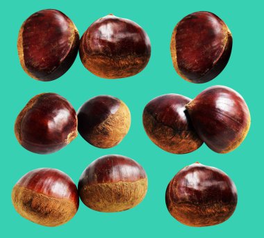 Kestane, kırpma yolu ile izole edilmiş, yeşil arka planda gölge yok, taze ve sağlıklı yiyecek.