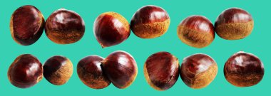 Kestane, kırpma yolu ile izole edilmiş, yeşil arka planda gölge yok, taze ve sağlıklı yiyecek.