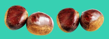 Kestane, kırpma yolu ile izole edilmiş, yeşil arka planda gölge yok, taze ve sağlıklı yiyecek.