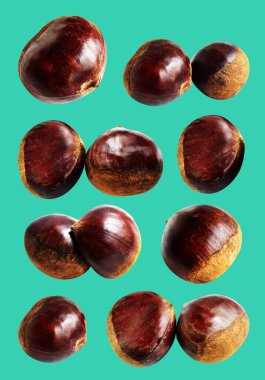 Kestane, kırpma yolu ile izole edilmiş, yeşil arka planda gölge yok, taze ve sağlıklı yiyecek.