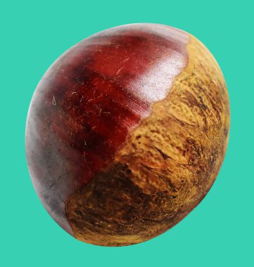 Kestane, kırpma yolu ile izole edilmiş, yeşil arka planda gölge yok, taze ve sağlıklı yiyecek.