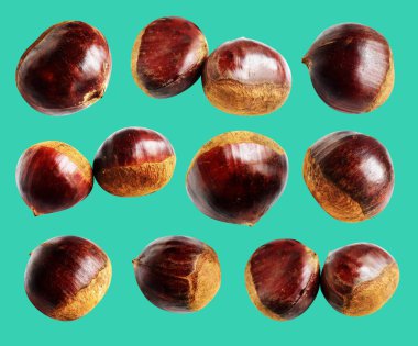Kestane, kırpma yolu ile izole edilmiş, yeşil arka planda gölge yok, taze ve sağlıklı yiyecek.