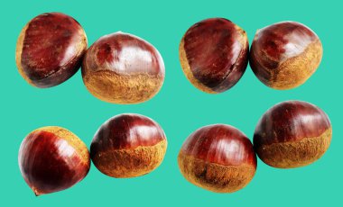 Kestane, kırpma yolu ile izole edilmiş, yeşil arka planda gölge yok, taze ve sağlıklı yiyecek.